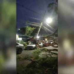 Árvore cai sobre carro e causa grandes danos durante temporal em Foz do Iguaçu - catve.com