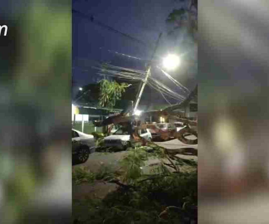 Árvore cai sobre carro e causa grandes danos durante temporal em Foz do Iguaçu - catve.com