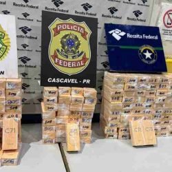 Mais de 140 celulares do Paraguai são apreendidos em abordagem na BR-277 - catve.com