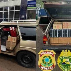 Ação integrada apreende 600 garrafas de vinho argentino na tríplice fronteira - catve.com