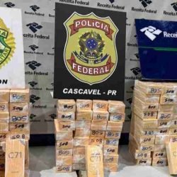 Mais de 140 celulares são apreendidos em Santa Tereza do Oeste - catve.com