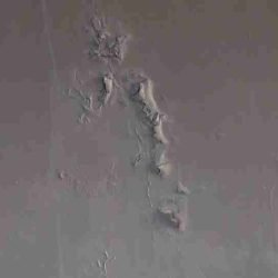 Infiltrações atingem cobertura da Catedral de Cascavel - catve.com