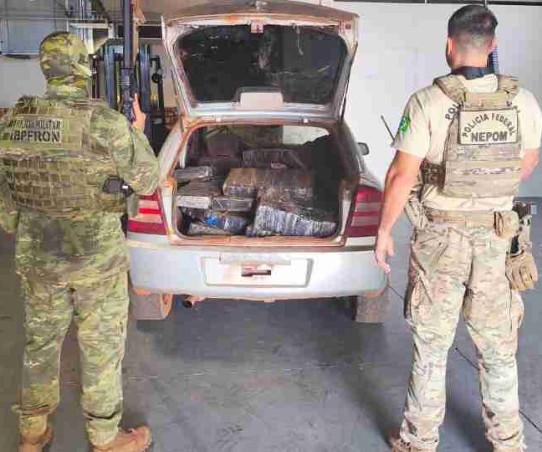 Mais de meia tonelada de maconha é apreendida em área rural de Guaíra - catve.com