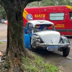 Égua da PM foge e é atropelada por Fusca no Centro de Cascavel - catve.com