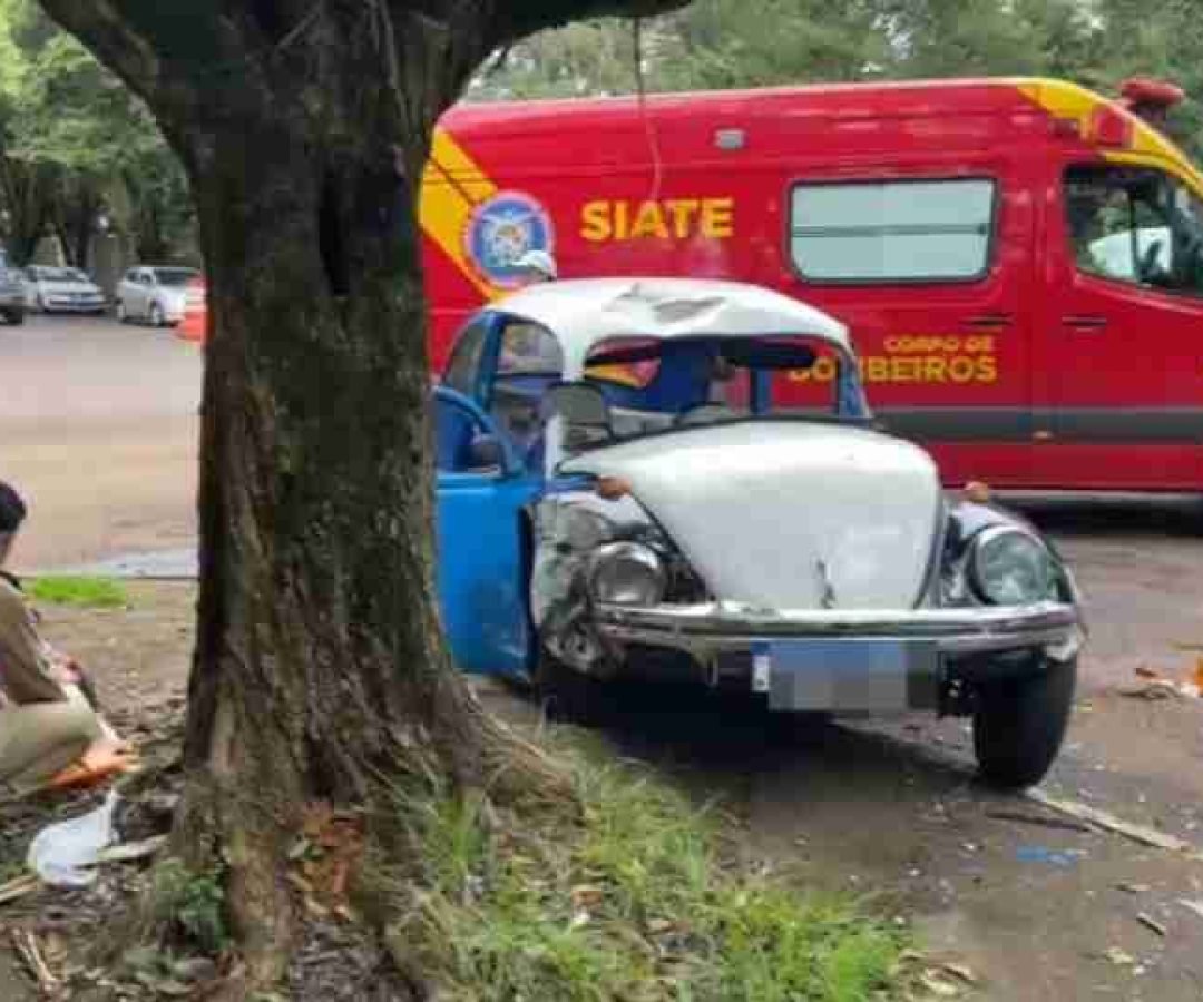 Égua da PM foge e é atropelada por Fusca no Centro de Cascavel - catve.com