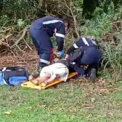 Idoso de 83 anos é agredido em roubo na Vila Industrial em Toledo - catve.com