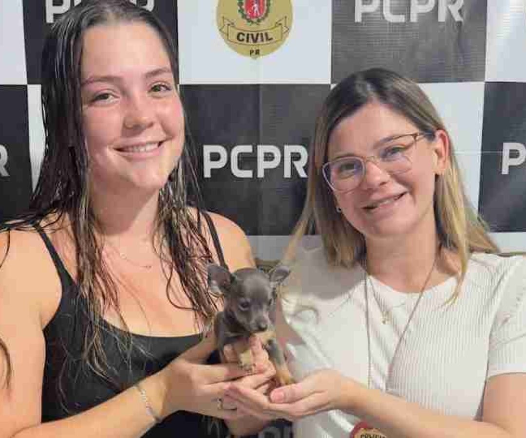Polícia Civil recupera filhote furtado e identifica dois envolvidos após análise de câmeras - catve.com