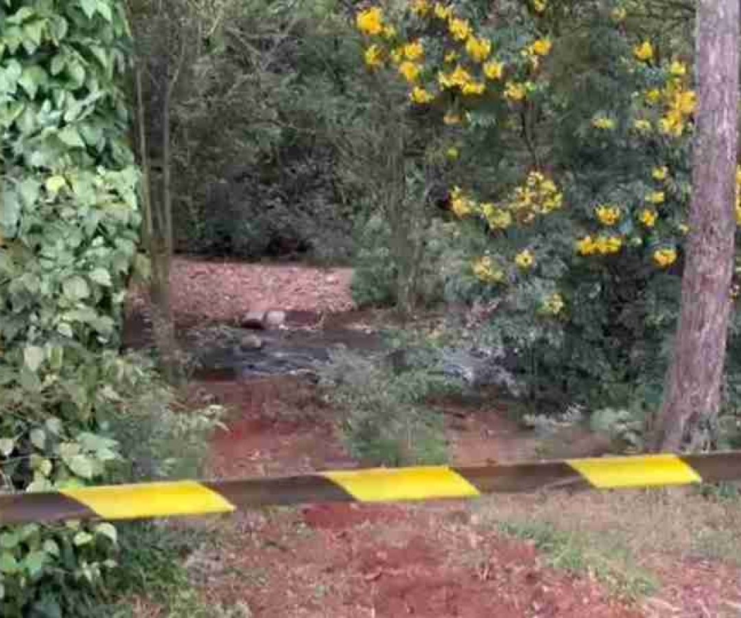 Servidor é atacado por abelhas durante limpeza do Rio Quati - catve.com