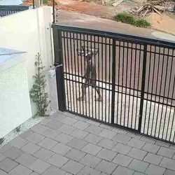 Morador denuncia série de furtos no Loteamento Positano, no Brasmadeira - catve.com