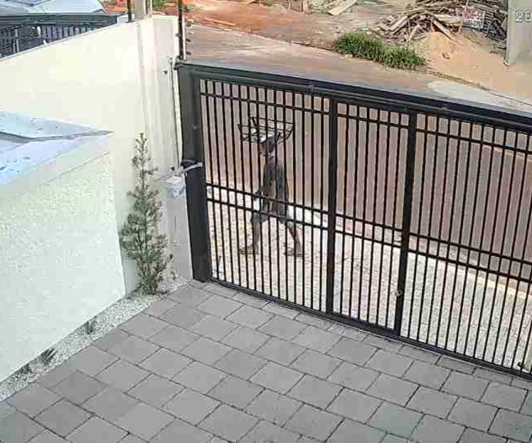 Morador denuncia série de furtos no Loteamento Positano, no Brasmadeira - catve.com