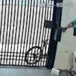 Vídeo: ladrão invade casa e furta lavadora em Cascavel - catve.com