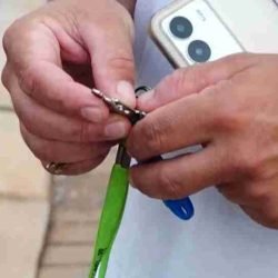 "Ela mostrou a casa, deixou a chave e depois desapareceu", diz vítima de golpe do aluguel - catve.com