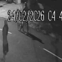 Câmera flagra furto de fios no bairro Alto Alegre - catve.com