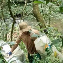 Cascavel já retirou quase 60 toneladas de lixo em força-tarefa de limpeza no Rio Quati - catve.com