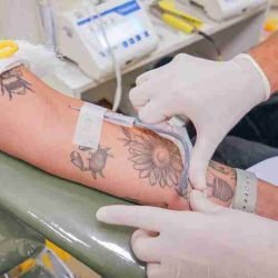 Com queda nos estoques, Hemepar convoca doadores de sangue tipos O+ e O- - catve.com