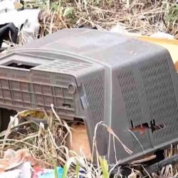 Descarte irregular preocupa moradores na BR-467, em Cascavel - catve.com