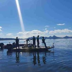 Período de Defeso da Piracema termina no domingo em todo o Paraná - catve.com