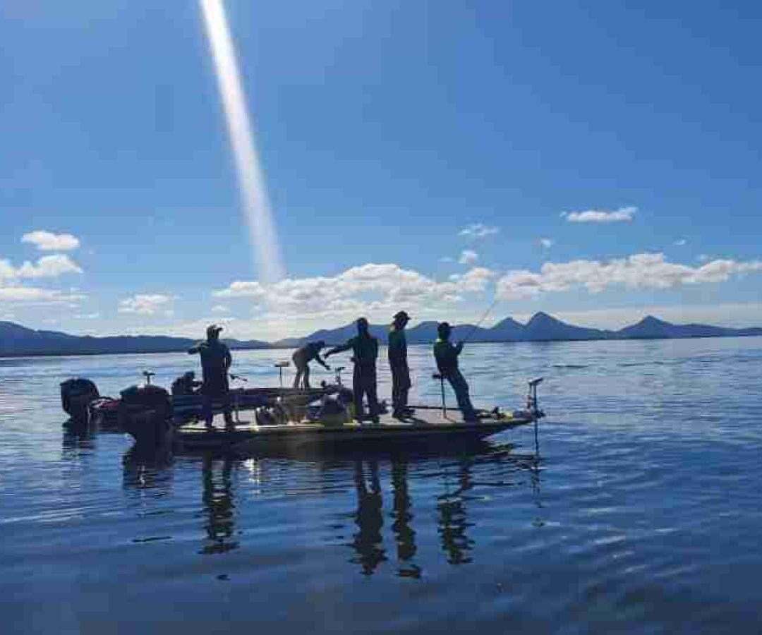 Período de Defeso da Piracema termina no domingo em todo o Paraná - catve.com