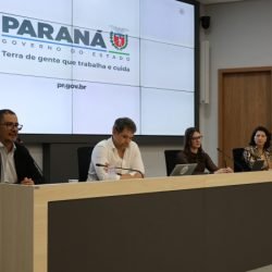 Estado envia à Assembleia projeto que viabiliza US$ 100 milhões para Fundo Estratégico