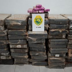 PMPR apreende 759,4 quilos de maconha em caminhonete em São Mateus do Sul