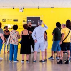 Em visitas guiadas, visitante pode conhecer arquitetura e exposição do acervo do MON