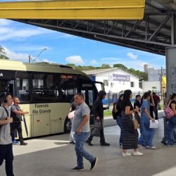 Amep anuncia nova linha metropolitana entre Fazenda Rio Grande e Curitiba