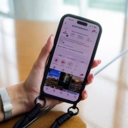 Redes sociais do Governo do Paraná lideram ranking entre governos no Brasil