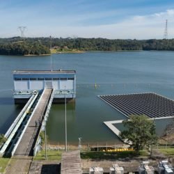 Sanepar e UFPR estudam peixe que atua como filtro e reduz gases do efeito estufa