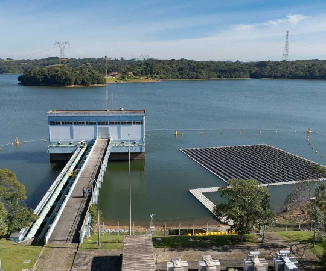 Sanepar e UFPR estudam peixe que atua como filtro e reduz gases do efeito estufa
