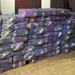 PCPR apreende mais de 2 toneladas de maconha e prende cinco pessoas no Noroeste