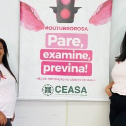 Outubro Rosa: Ceasas de Curitiba e Foz do Iguaçu ofertam serviços gratuitos para mulheres
