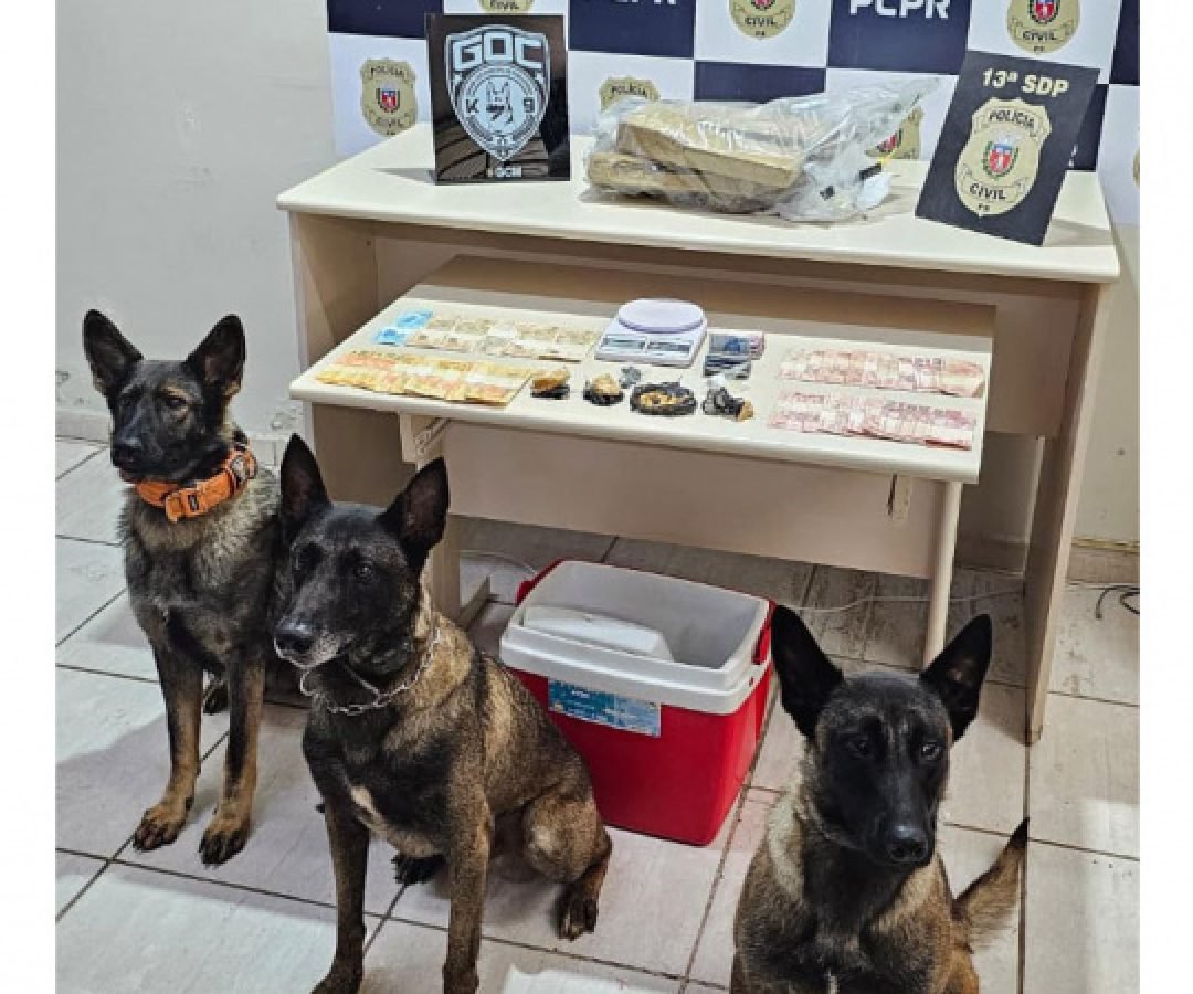 PCPR, PMPR e GCM prendem três pessoas em operação contra o tráfico em Ponta Grossa