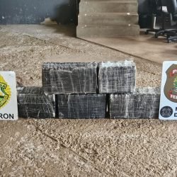 PF e PM apreendem quase 92 kg de maconha às margens do Rio Paraná em Foz do Iguaçu