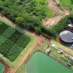 Sanepar é finalista da categoria Campeões do ODS 6 no Global Water Awards, o Oscar da água
