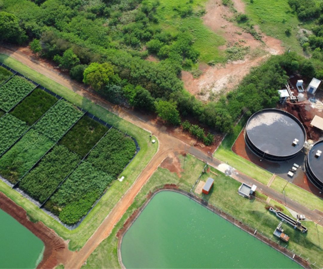 Sanepar é finalista da categoria Campeões do ODS 6 no Global Water Awards, o Oscar da água