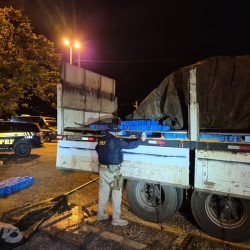 PRF apreende grande carga de celulares escondida em fundo falso de caminhão em Fazenda Rio Grande