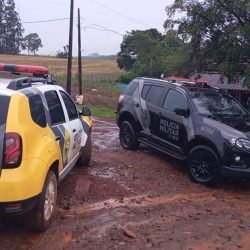 Confronto entre autor de feminicídio em Capitão e ROTAM termina em morte em Linha Progresso em Boa Vista da Aparecida