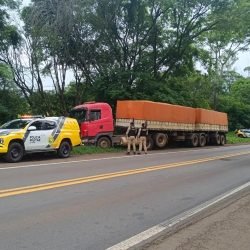 Com caminhão furtado, paraguaio morre em confronto com a PM