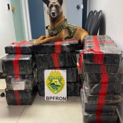 BPFron, Receita Federal e PM de Santa Catarina apreendem 193kg de maconha em Toledo