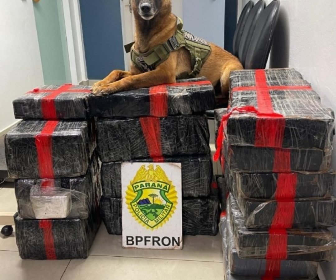 BPFron, Receita Federal e PM de Santa Catarina apreendem 193kg de maconha em Toledo