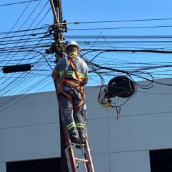 Mutirões no Norte do Paraná retiram 1,3 tonelada de cabos de telecomunicações irregulares