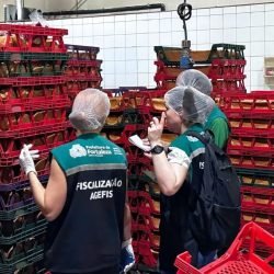Agefis_Apreensao_Panificacao.jpg