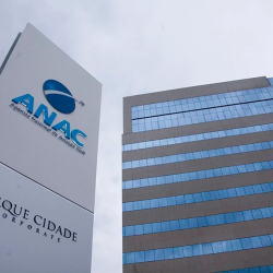 Anac-2.png