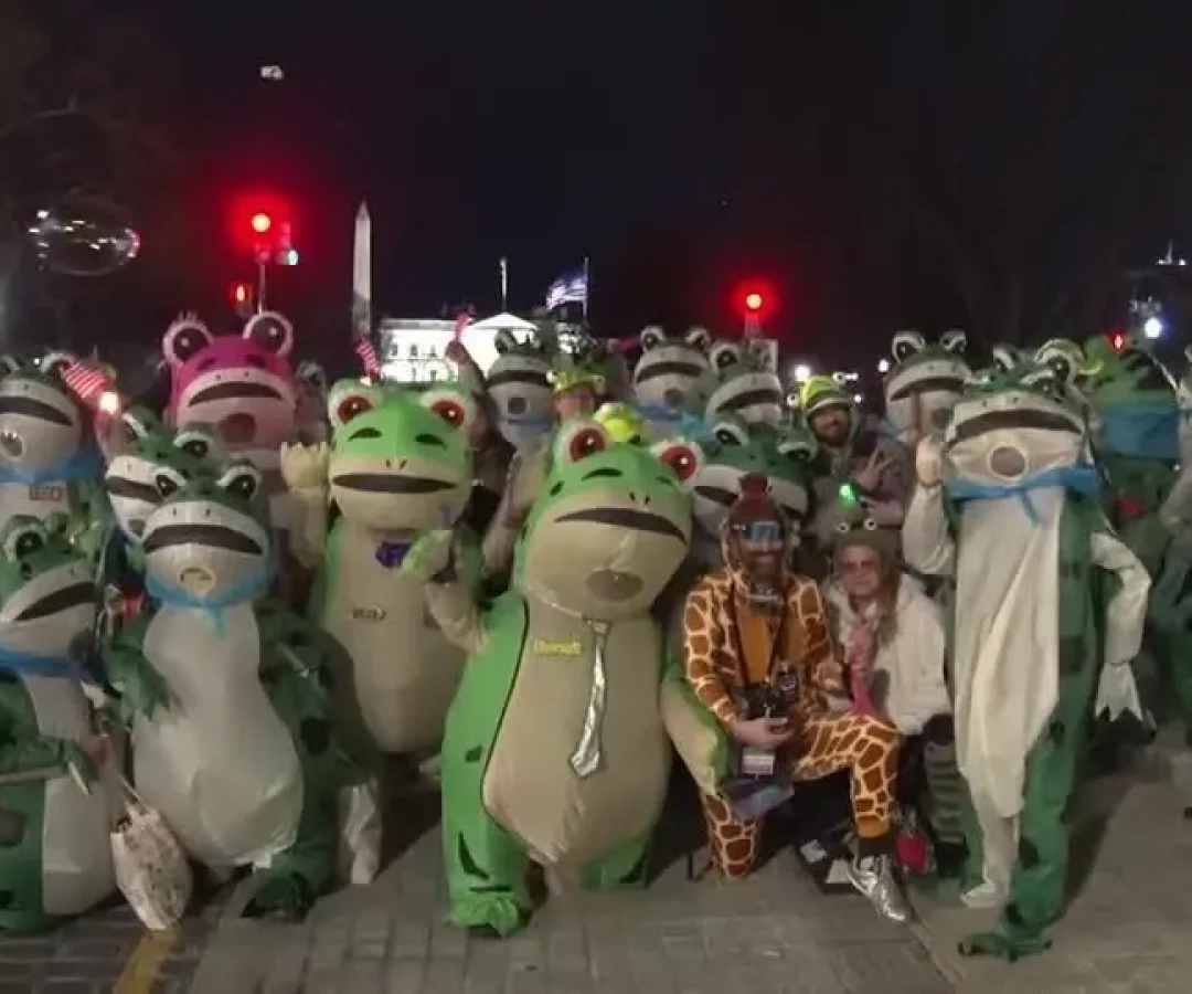 Ativistas-fantasiados-de-sapo-protestam-perto-da-Casa-Branca-apos-o-discurso-do-Estado-da-Uniao-de-T.webp