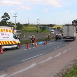 Atropelamento-grave-corpo-dilacerado-2_00599226_0_202510241456-880x586 (1)