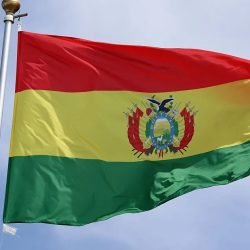 Bandeira-da-Bolivia.jpg