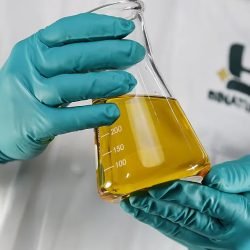 Biodiesel-soja-credito-binatural.jpeg