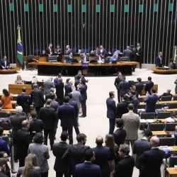 CAMARA-PLENARIO-03-02-26.jpg