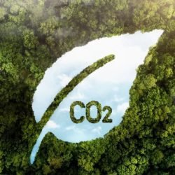 Captura-de-carbono.jpg