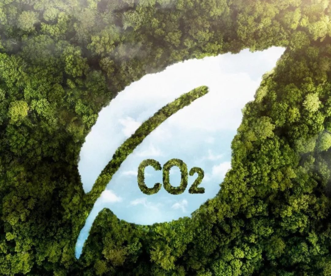 Captura-de-carbono.jpg